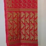 Saree (2)