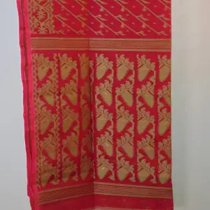 Saree (2)